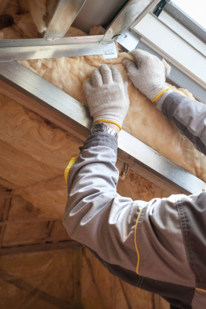 Best Crawl Space Insulation  in Darmstadt, IN